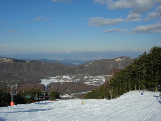 a0045688_2250577.jpg
