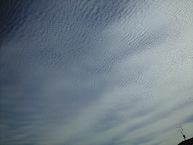 b0114392_1832042.jpg