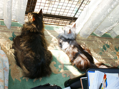e0019594_1484416.jpg
