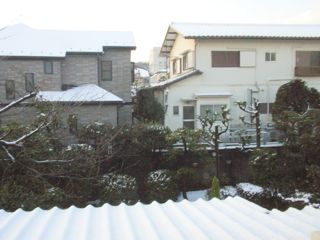 f0130894_215484.jpg