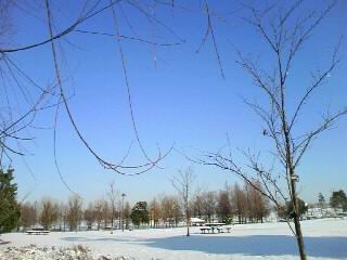 c0062796_940095.jpg