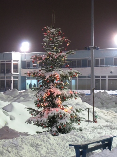 f0129897_8175350.jpg