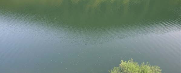 c0015099_17115769.jpg