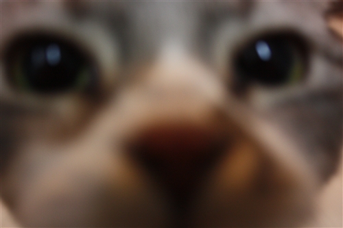 e0149299_2032730.jpg
