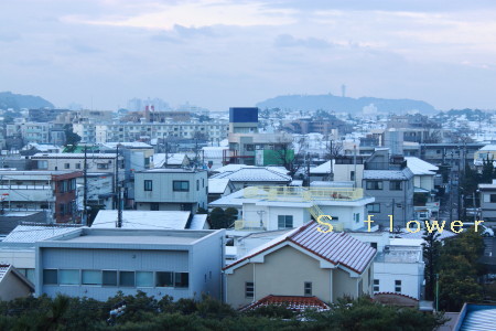 a0101000_2244010.jpg