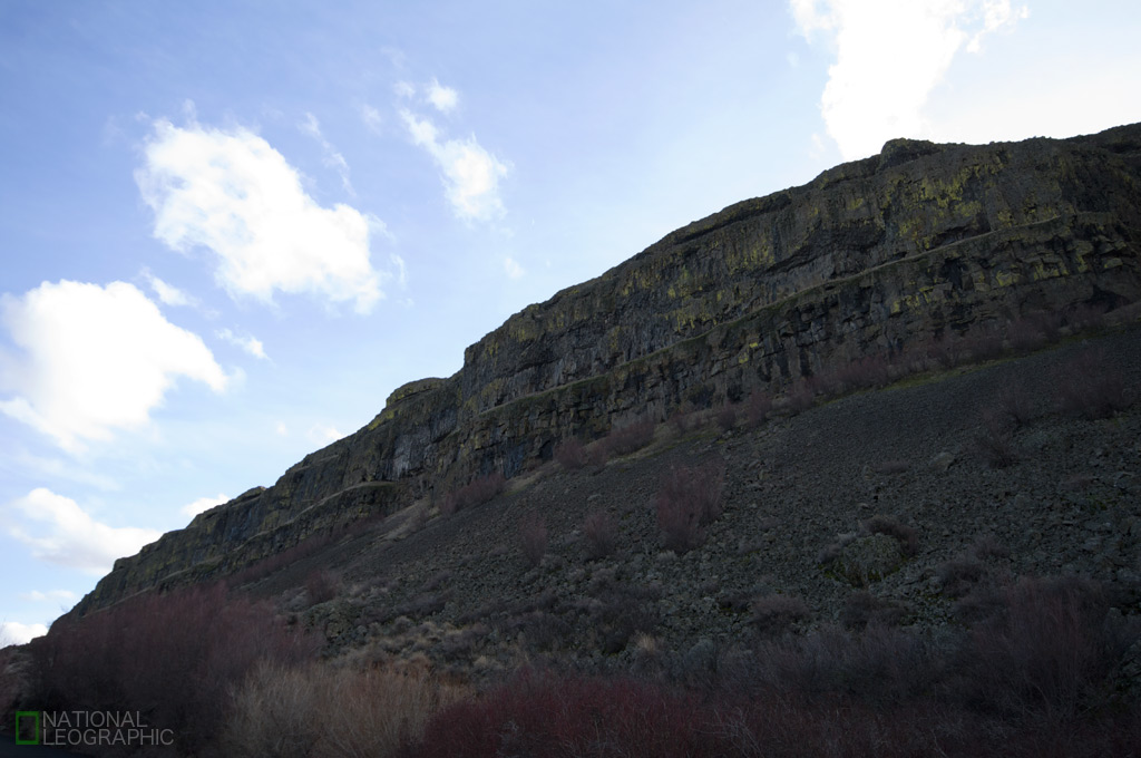 c0080101_5421498.jpg