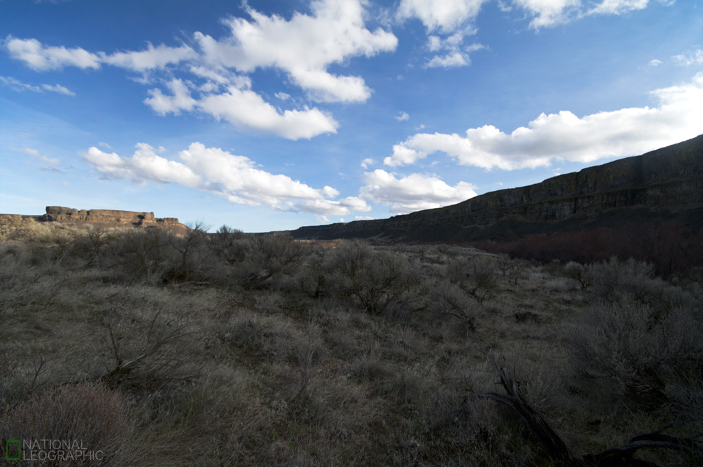 c0080101_5432316.jpg