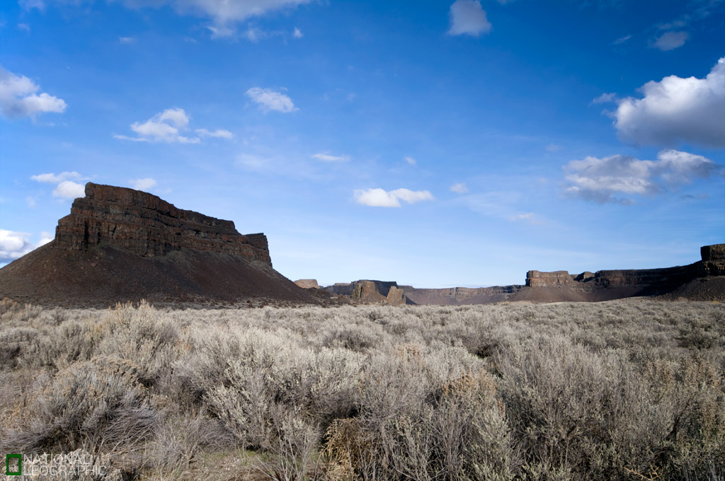 c0080101_5451647.jpg