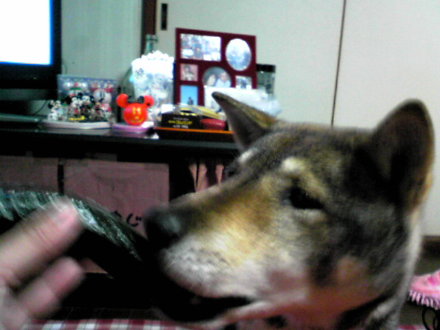 f0079202_20264319.jpg