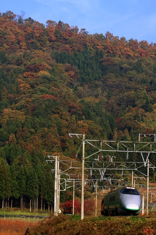 b0180907_23122958.jpg