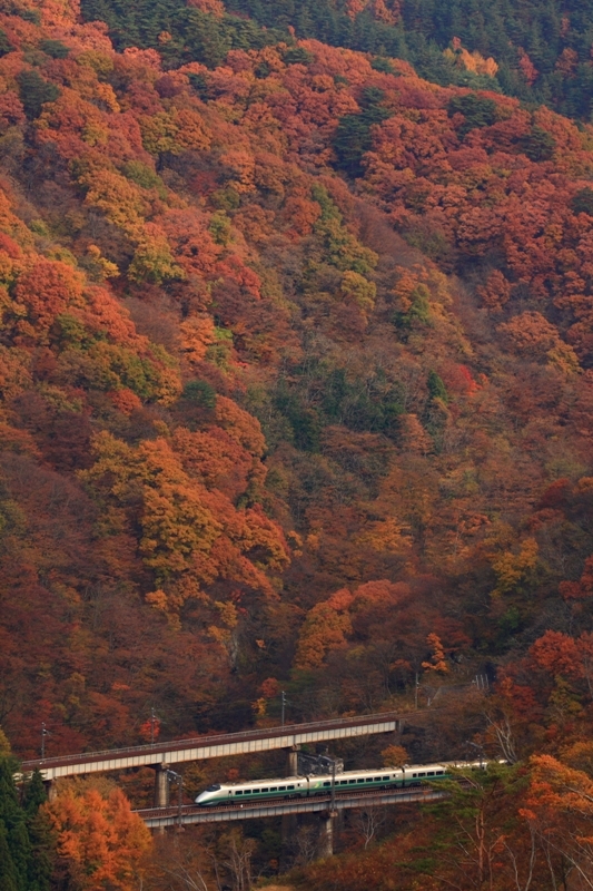 b0180907_23125520.jpg
