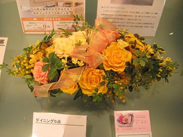 c0160207_23234316.jpg