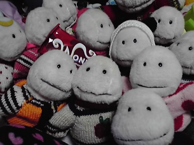 c0067610_019075.jpg