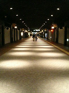 e0101411_89525.jpg