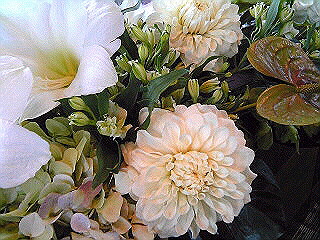 a0052621_19121566.jpg