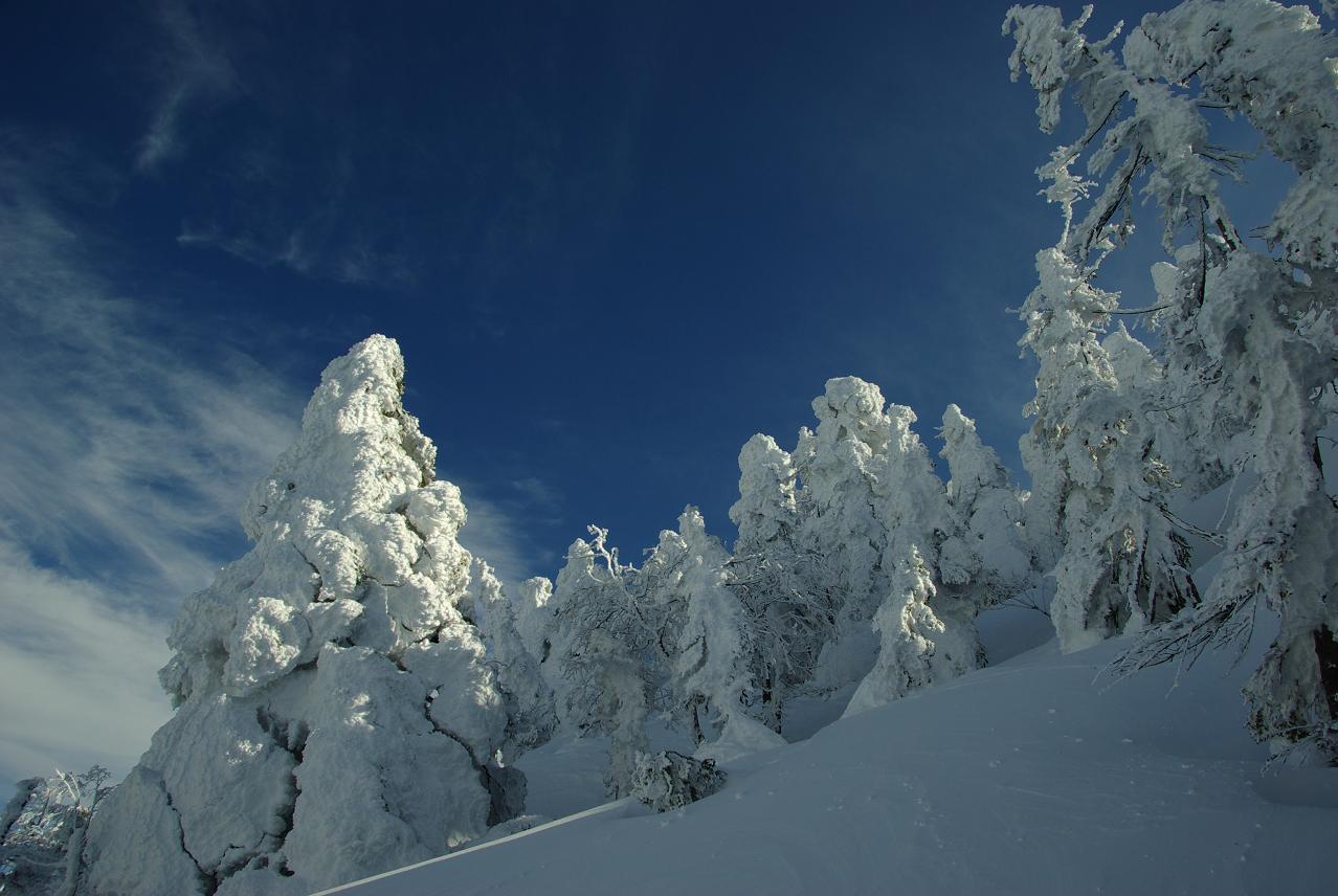 b0062024_7152773.jpg