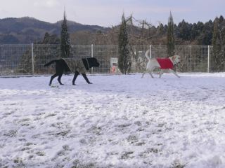 c0218528_74312100.jpg