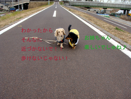c0117831_19175748.jpg