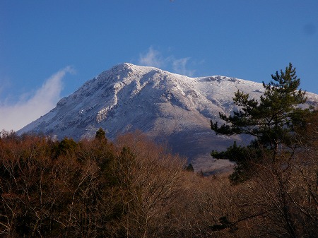 e0165234_114682.jpg