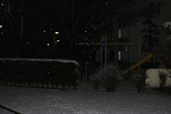 c0022340_0182472.jpg
