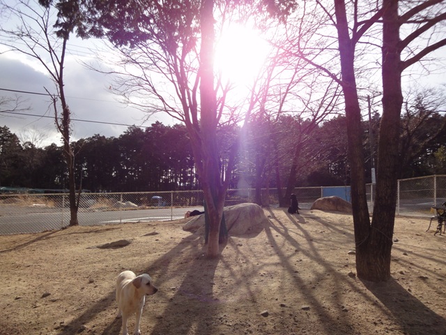 c0218443_2333980.jpg