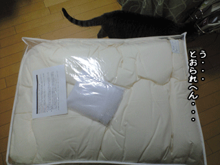 f0116546_1521134.gif