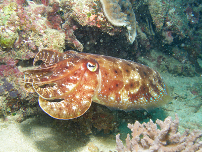 d0065247_18133290.jpg