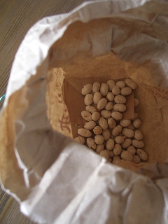 f0009451_15331645.jpg
