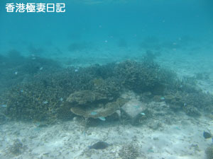 f0190653_11311439.jpg