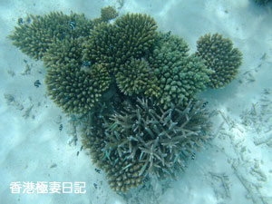f0190653_11312571.jpg