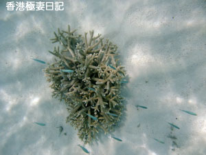 f0190653_1131363.jpg