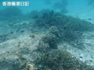 f0190653_11314563.jpg