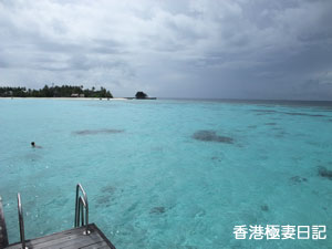 f0190653_113152.jpg