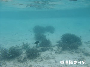 f0190653_11322611.jpg