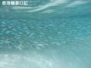f0190653_11323774.jpg