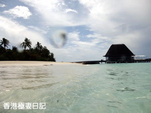 f0190653_1133918.jpg