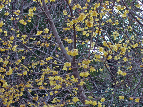 b0045357_13295837.jpg