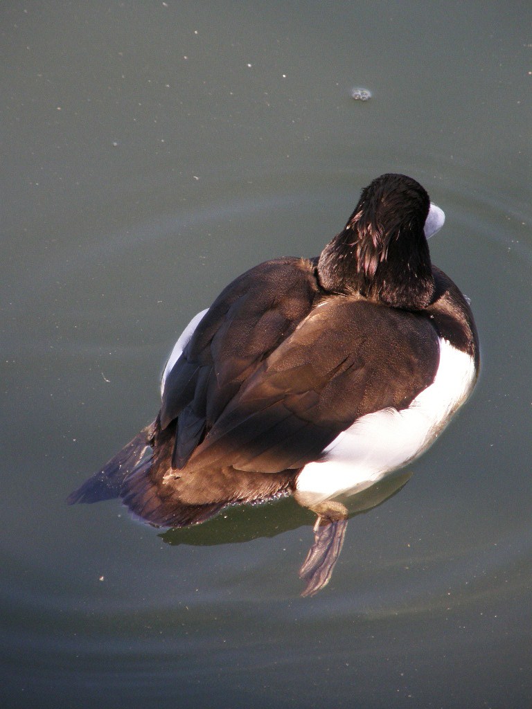 e0064158_14115368.jpg
