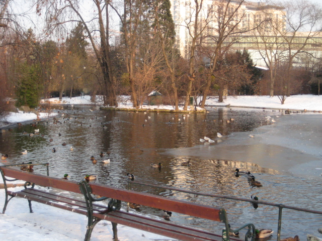 e0116960_21221532.jpg