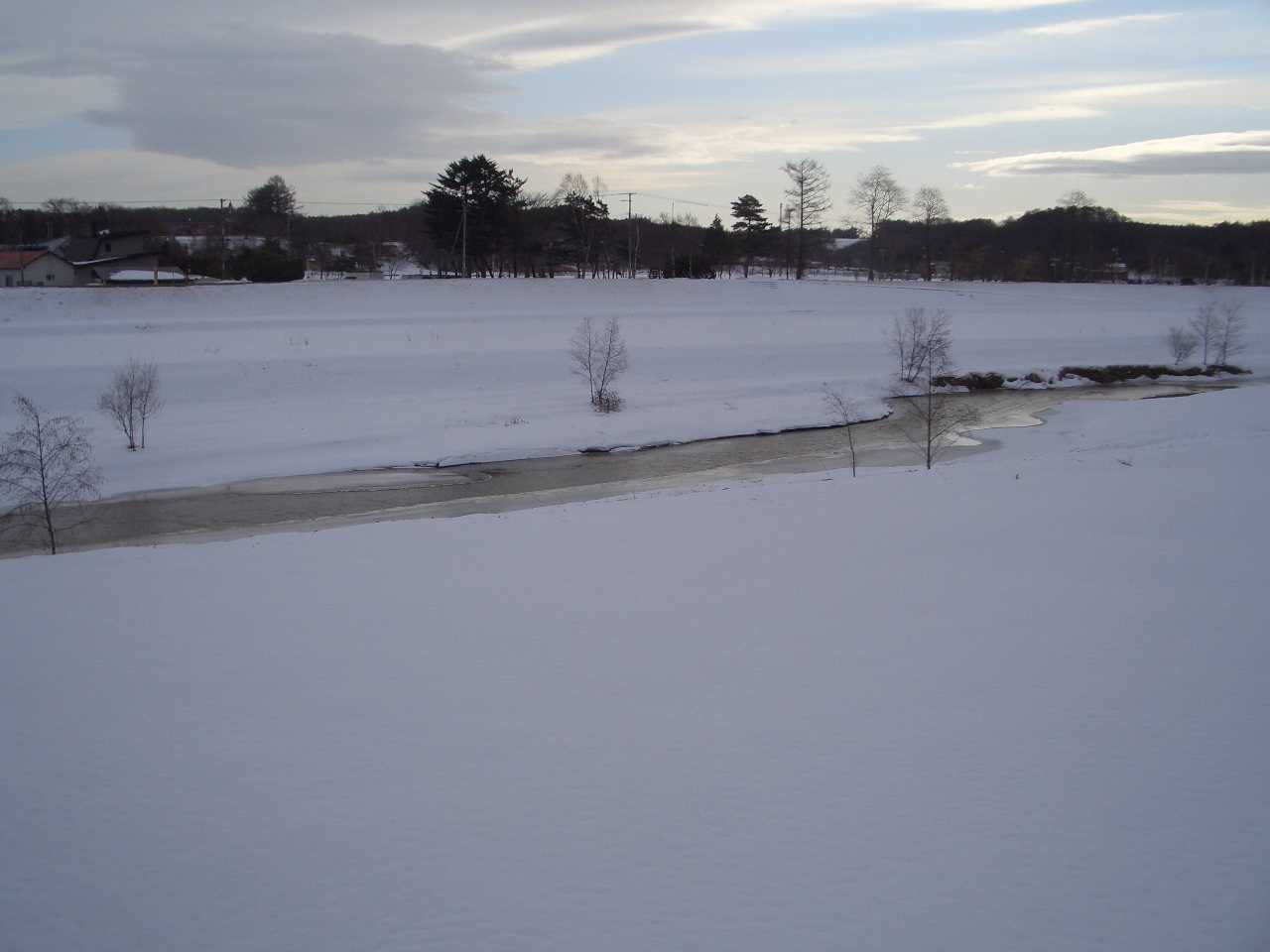 e0133362_223562.jpg