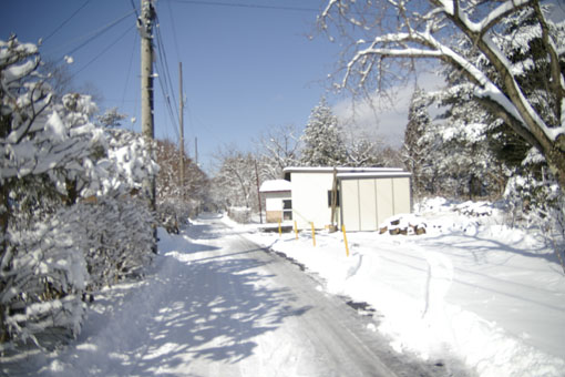 b0075364_108157.jpg