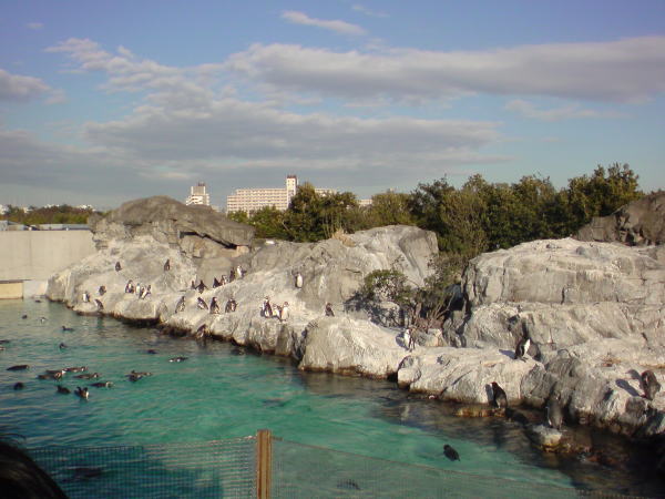 e0153367_1744566.jpg