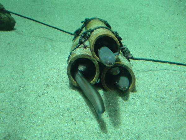 e0153367_17461626.jpg