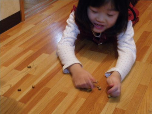 c0133470_17144720.jpg