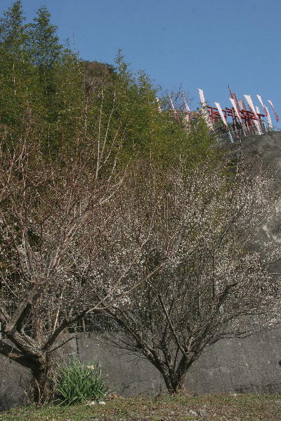 b0171185_232213100.jpg