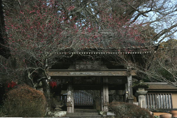 b0171185_23355048.jpg