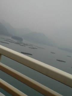f0196887_16391655.jpg