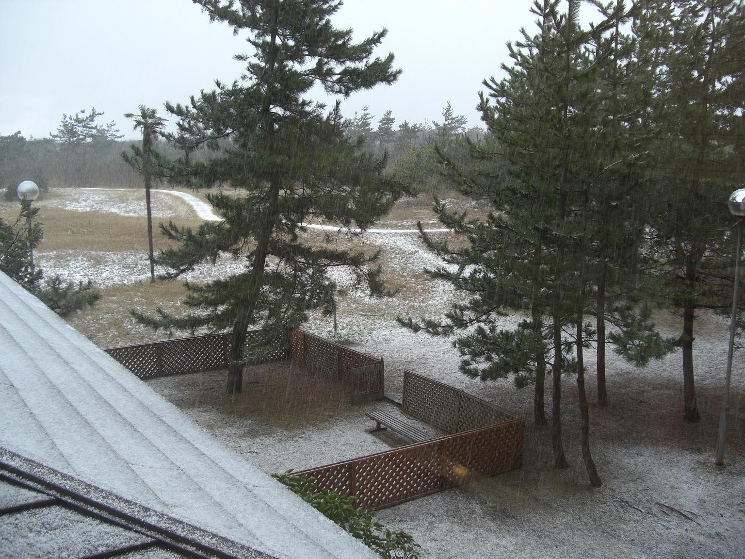 f0131491_12494792.jpg