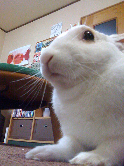 f0201191_23485734.jpg