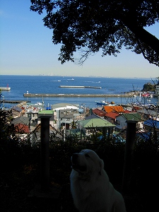e0158895_21421138.jpg
